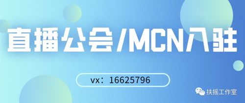 新公司注冊(cè)抖音公會(huì)策略手冊(cè) 項(xiàng)目策劃與公關(guān)服務(wù)的執(zhí)行路徑